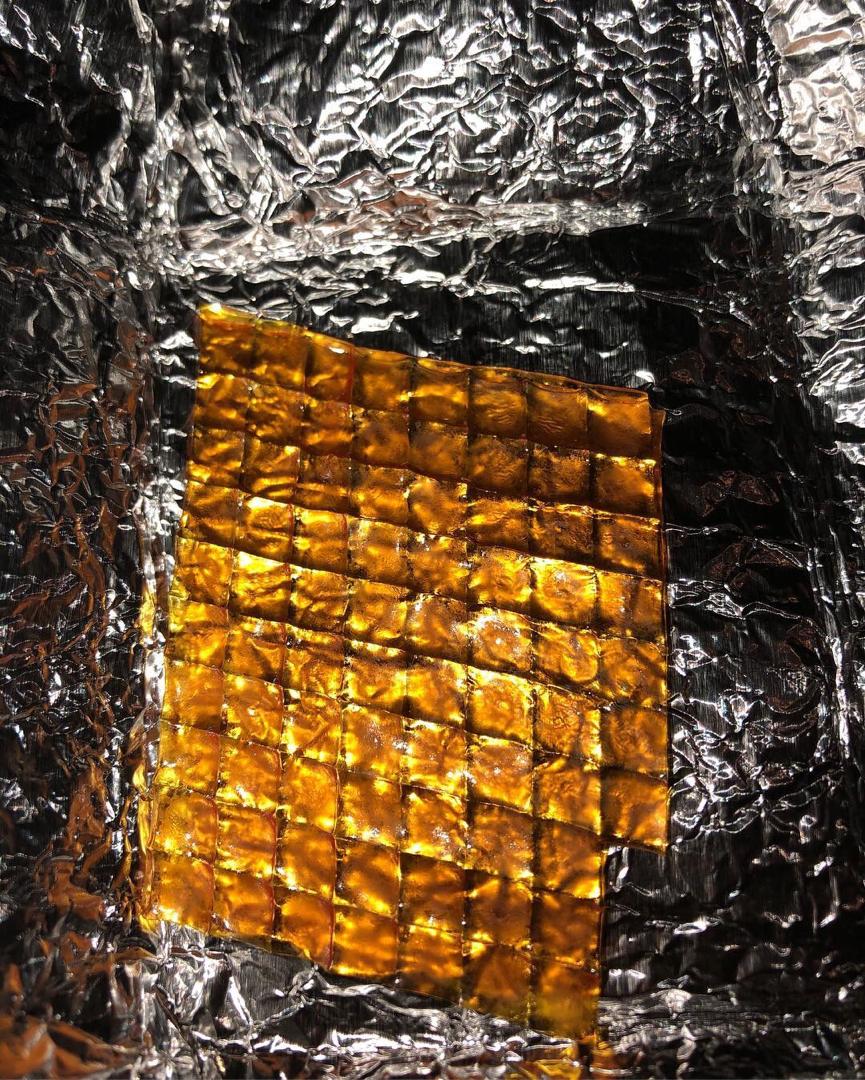 lsd gel lsd gelatin