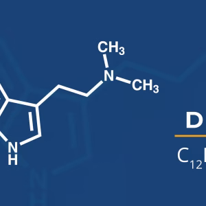Buy DMT Online