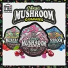 Tre House Mushroom Gummies